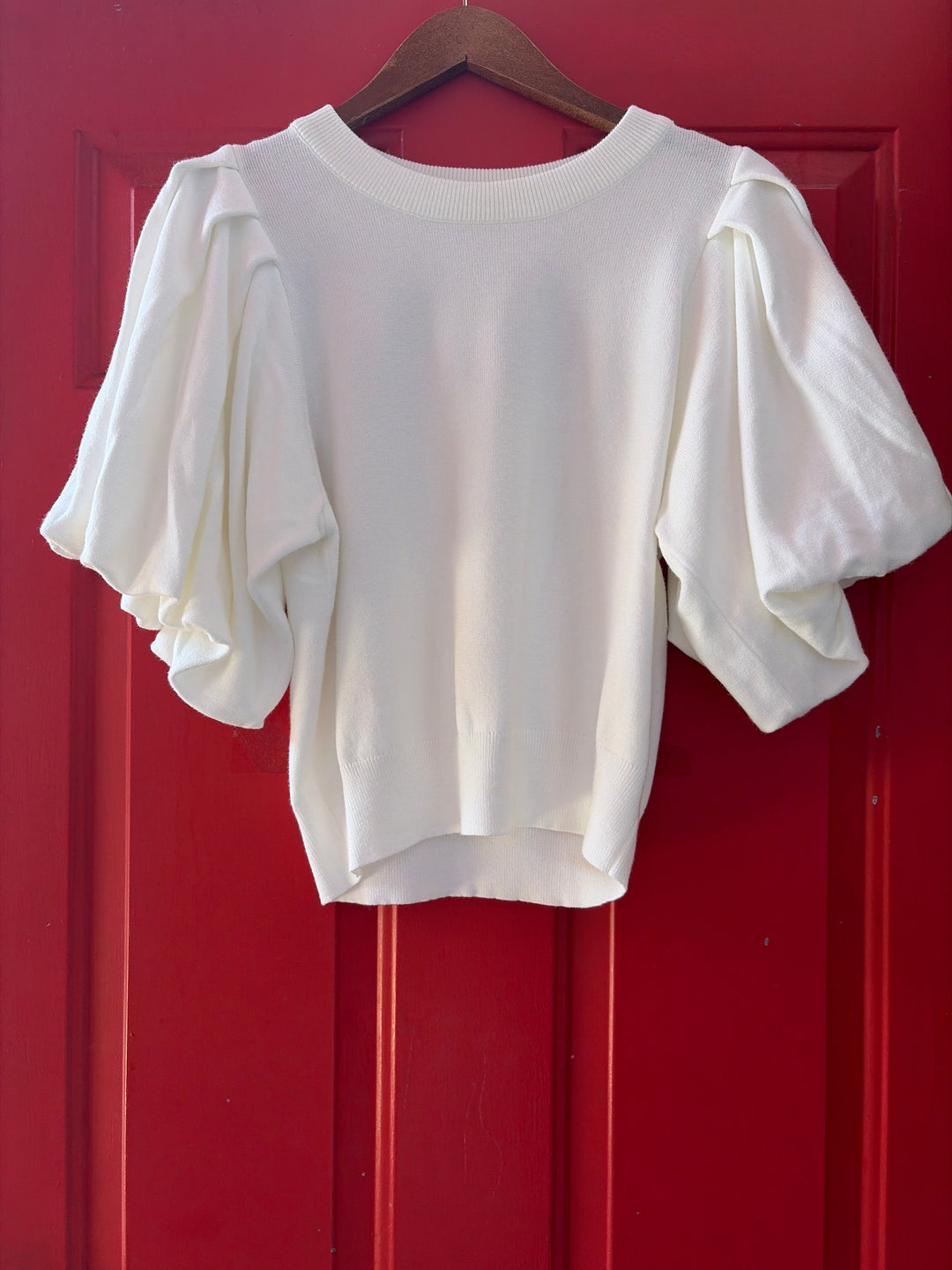 Crew Neck Puff Sleeve Pinch