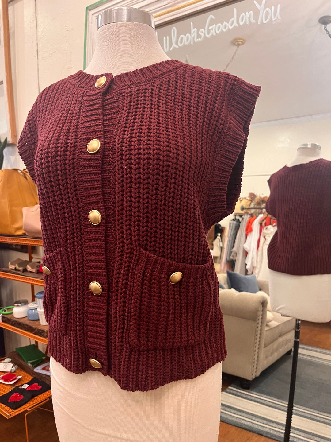 Autumn Heirloom Sweater Vest In February