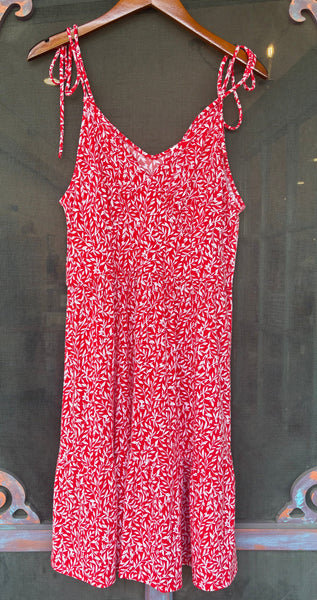 Red and White Delight Gilli